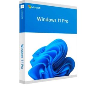 Windows 11 Pro